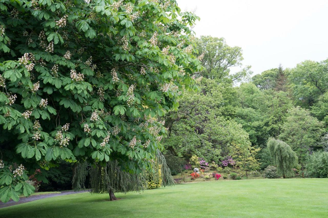 Bed and Breakfast West Plean House Stirling Exterior foto